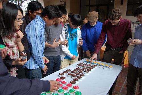 Cupcake Selection 500