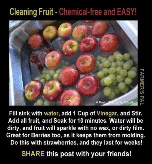 chemical_free_fruit_washing